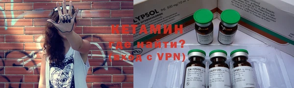 индика Нягань