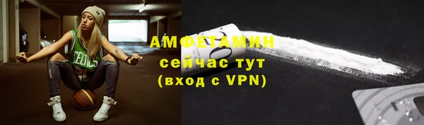Альфа ПВП Няндома