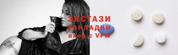 индика Нягань